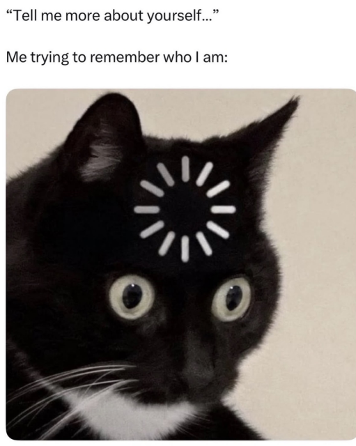A meme featuring a close-up photo of a black cat with wide, startled eyes and a white loading icon graphics edited onto its forehead. The text above reads: '"Tell me more about yourself..." Me trying to remember who I am:'.