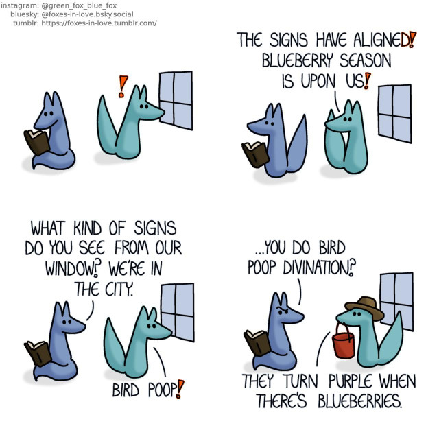A comic of two foxes, one of whom is blue, the other is green. In this one, Blue is minding his own business, peacefully reading a book, as Green looks out of the window, tail raised in alert.  Blue's book goes momentarily up in the air as Blue jumps, startled by Green's excited yelling. Green: The signs have aligned! Blueberry season is upon us!  Blue looks after Green as Green rushes off to make arrangements. Blue: What kind of signs do you see from our window? We're in the city. Green: Bird poop!  Blue raises his eyebrow in confusion as Green returns, wearing a sun hat and carrying a bucket for foraging. Blue: ...You do bird poop divination? Green: They turn purple when there's blueberries.