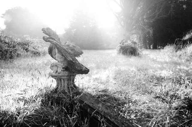 Black and white photo of a stone eagle on a plinth at the top of stone steps. The garden is full of morning light.