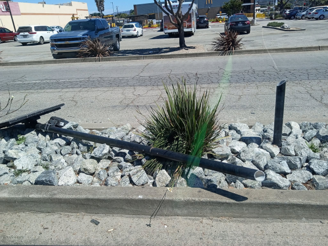 A fallen flock camera that was cut down in the median area of a shopping center driveway.