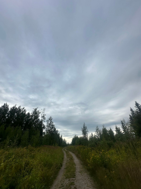 A long country road and sky filled with rain clouds