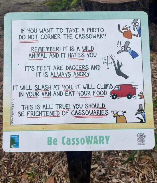 First Dog On The Moon cartoon on a sign that says: If you want to take a photo do not corner the cassowary
Remember! It is wild and it hates you
Its feet are daggers and it is always angry
It will slash at you, it will cliimb (sic) in your van and eat your food.
This is all true! You should be frightened of cassowaries
Be CassoWARY