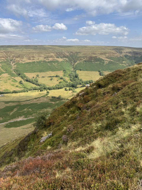 Far reaching view from top of mountain looking back along Gospel Pass. The path is high up on a steep side of the valley.  The valley is a green and golden mixture of fields and heathland with some hedges and woods on the lower slopes.  