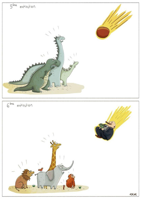 Cartoon in two panels
The upper panel, labelled “5th extinction” shows a group of fearful dinosaurs looking up at an approaching meteor.

In the lower panel, labelled “6th extinction”, the dinosaurs are replaced by modern animals also looking up fearfully, but this time the meteor is replaced by a fat, wealthy man, smoking a large cigar and clutching a bundle of money.

The Cartoon is by French cartoonist and illustrator Adene (Anne Derenne) https://annederenneillustration.com/description/
