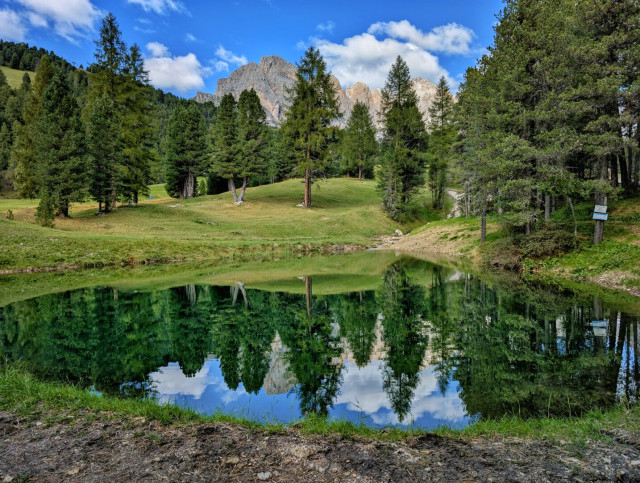 A serene alpine landscape featuring a calm, clear pond in the foreground that perfectly reflects the surrounding pine trees and the majestic, rugged mountain peaks in the background under a bright blue sky with scattered white clouds.
