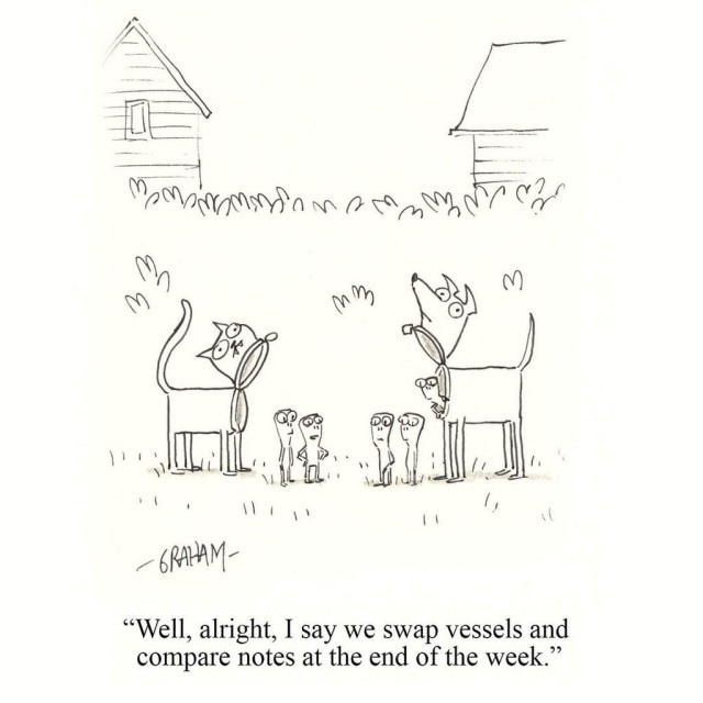 A cartoon illustration of two teams of tiny aliens meeting in a backyard where they each have been driving a cat shaped vessel and a dog shaped vessel. Caption reads "Well, alright, I say we swap vessels and compare notes at the end of the week."