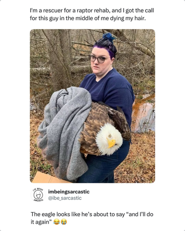 "I'm a rescuer for a raptor rehab, and I got the call for this guy in the middle of me dyeing my hair." Picture shows a woman in a long sleeve blue shirt and blue jeans with black hair which is partly dyed purple and partly blue. She's carrying an adult bald eagle in a grey blanket, and it's holding still looking at the camera with a WTF expression. Someone comments, "The eagle looks like he's about to say 'and I'll do it again.'"