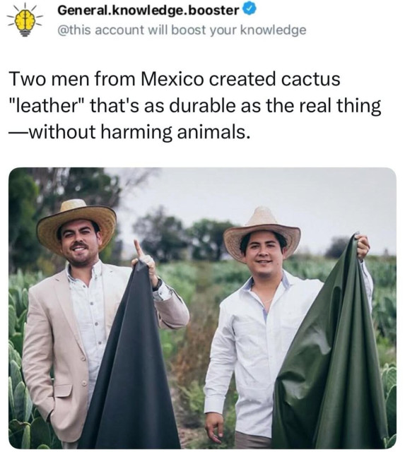 Two men from Mexico created cactus "leather" that's as durable as the real thing, without harming animals