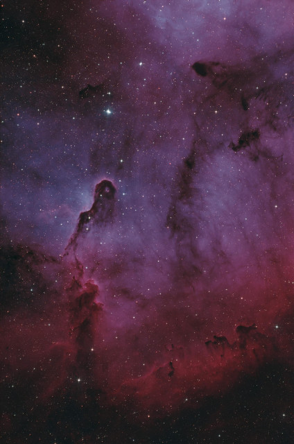 A picture of space. To the left is a pilar like structure of dust where the top part is separating and curling at the top. On the right side are very fine dust lanes, just like hair. While the bottom part is red from the hydrogen the middle and top parts are also blue and purple due to the oxygen.