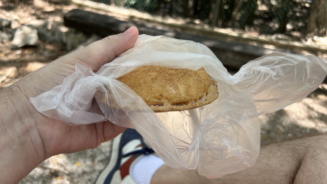 A sugar coated pastry with apple or nothing inside. I honestly don't remember, the strawberry one was so good!