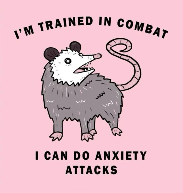 Possum drawing. Light pink background, with black text above and below the drawing that reads "I'm trained in combat. I can do anxiety attacks."