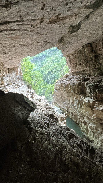 View from inside a cave looking out. Cream colored stone on all sides, with a stream at the bottom of the cave. The center of the view is green trees out in the distance. 