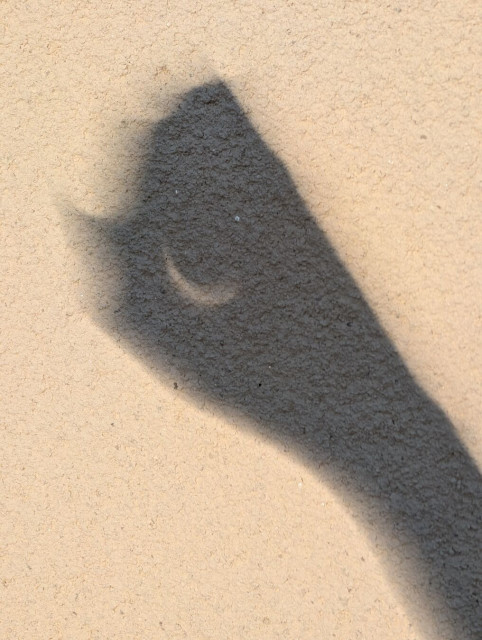 Shadow of my hand with the tiny opening between thumb and index projecting a crescent of the sun near totality