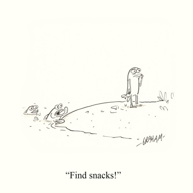 A hesitant cartoon fish with evolved legs stands on a pond bank, while two fish in the water watch and one yells "Find snacks!"