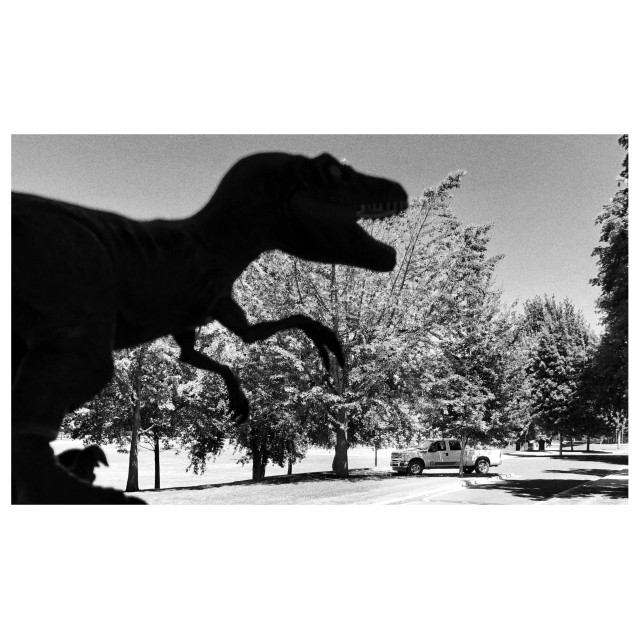 Black and white photo of a park with many trees on a sunny day. A small, distant pickup truck sits parked in the shade of a tree. The scene would be tranquil except for the large, looming silhouette of a T-Rex stomping in from the left, jaws open, ready to devour. In reality it’s a small dinosaur toy I’m holding up close to the camera, as I let forced perspective do its thing.