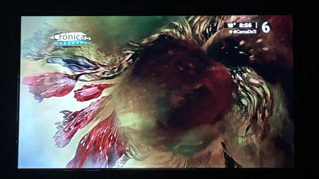 Detail of a painting on a tv screen with numerous colors 