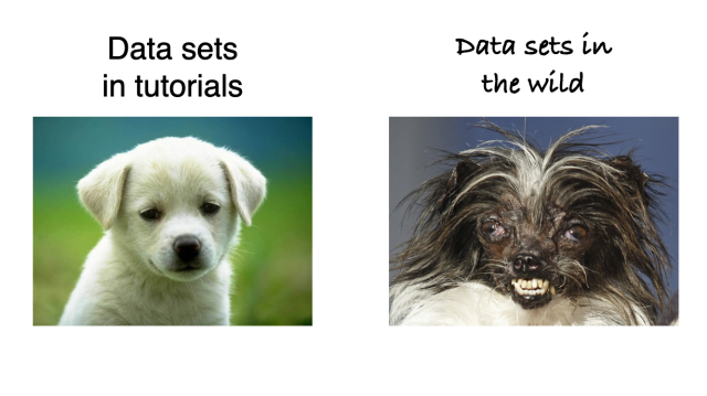 Left: Data sets in tutorials. Showing world's cutest puppy, perfectly groomed - aww. Right: Data sets in the wild. Showing ugliest dog, eyes and teeth protruding and distorted, ferocious look - nightmare material.