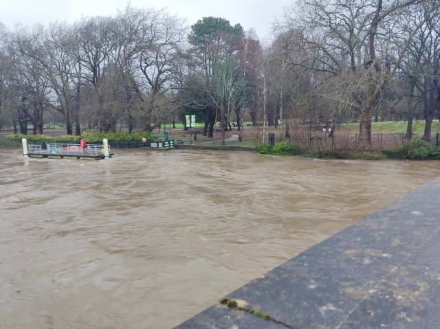 Photo of the river Taf in Cardiff, very nearly overtopping the flood barrier to Bute park