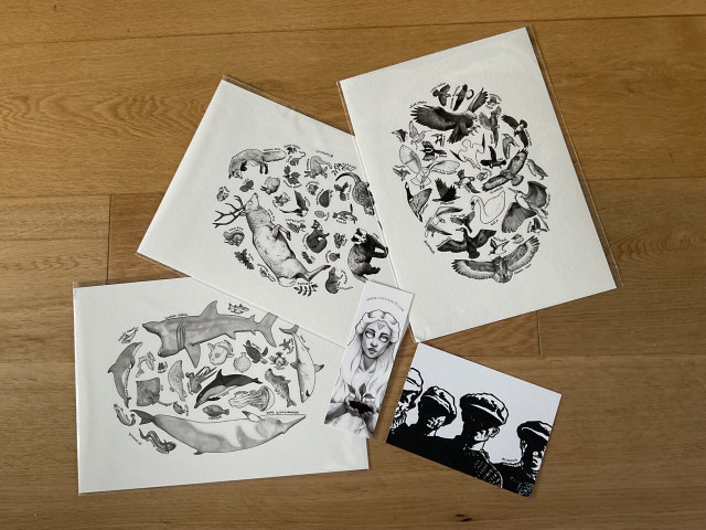 Photo of Ciara’s artwork: three prints of wildlife, plus a bonus bookmark and post card. 