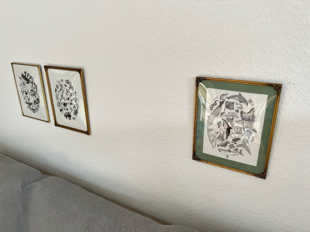 3 framed illustrations hanging on a wall