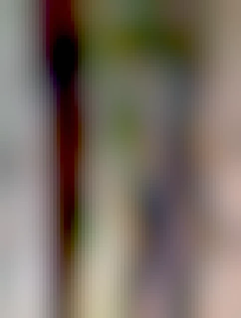 Medical office with a creepy rusted out stretcher