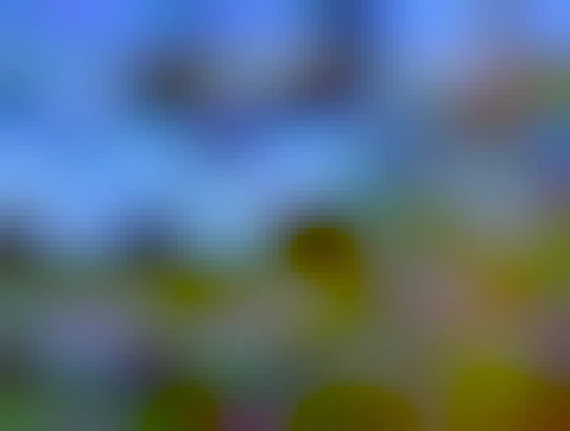 Abandoned ski lift cars