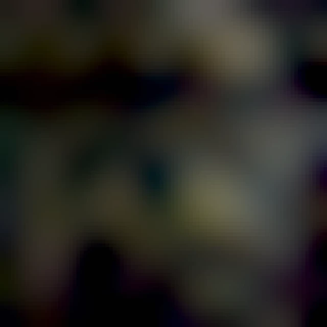 A Giant Dark Horsefly aka Sudeticus tabanus
A macro close up of it's head which is mainly it's two massive eyes, all covered in rain droplets.