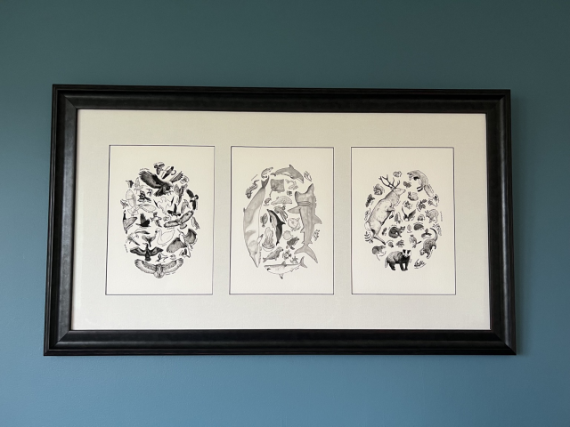 Three wildlife prints framed in a row in a single frame 