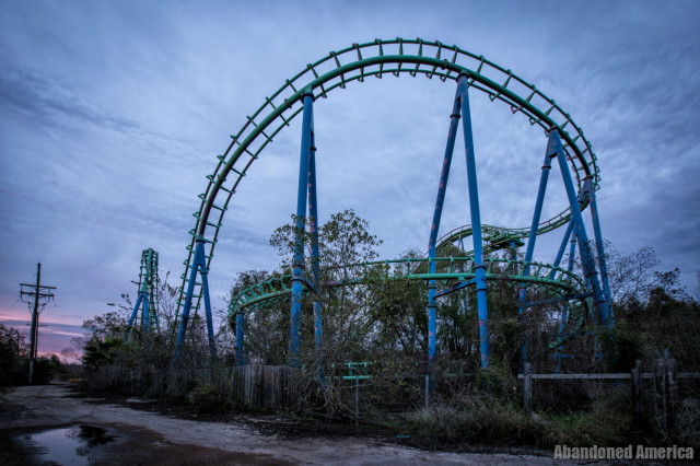 The looping spine of a steel roller coaster overgrown with trees against the fading light of the sun